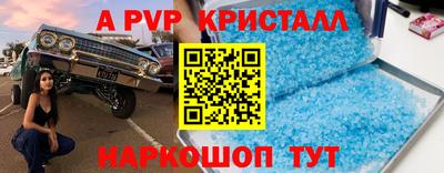 тгк Новозыбков