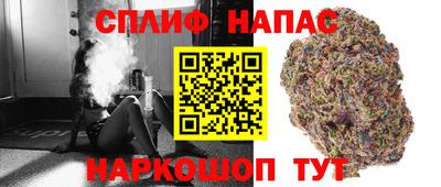 тгк Новозыбков