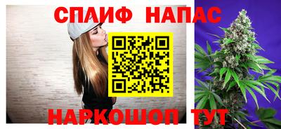 тгк Новозыбков