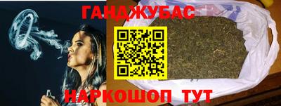 тгк Новозыбков