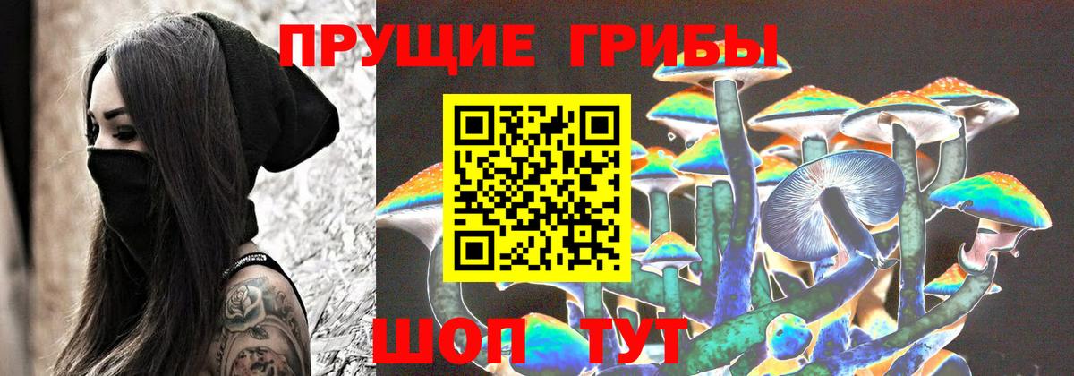 Ханты-Мансийск  что такое наркотик  Галлюциногенные грибы прущие грибы  Вход с VPN  Галлюциногенные грибы Cubensis 